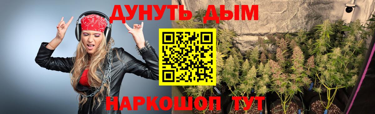 Бошки Шишки SATIVA & INDICA  МАРИХУАНА план  Новочебоксарск  Вход с VPN  Марихуана Bruce Banner  Конопля AK-47 